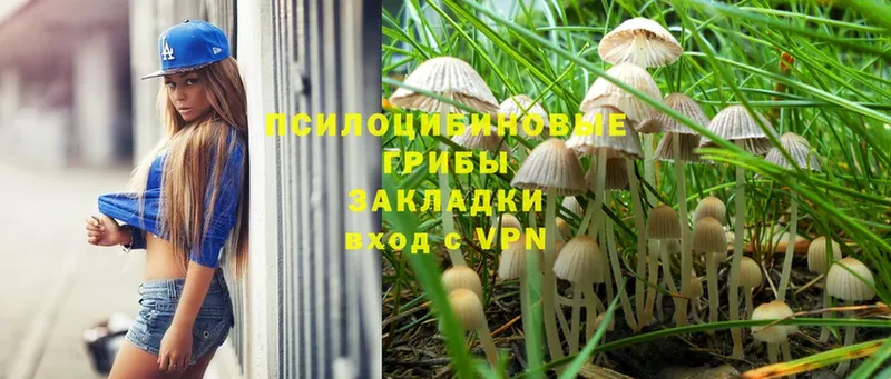 сколько стоит  это формула  Псилоцибиновые грибы Psilocybe  Кострома 